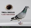 TR21-300315 315 Video