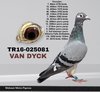 TR16-025081 081 Video
