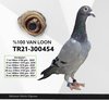 TR21-300454 van loon Video