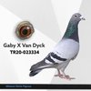 TR20-023334 mtn334 Video
