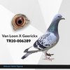 TR20-006289 mtn 289 Video