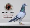 TR19-111127 127 Video