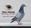 TR21-300358 358 Video