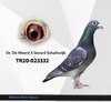 TR20-023332 er332 Video