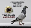 TR17-038001 001 Video