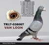 TR17-038067 067 Video