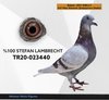 TR20-023440 amca 440 Video