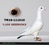TR19-111010 1010 Video