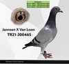 TR21-300465 jv 465 Video