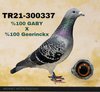 TR21-300337 337 Video