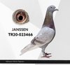 TR20-023466 pal 466 Video
