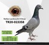 TR20-023358 sivas 358 Video