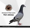 TR21-300466 466 Video