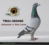 TR21-300466 466 Video
