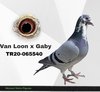 TR20-065540 540 Video