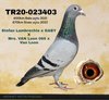TR20-023403 403 Video