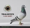 TR18-057072 072 Video