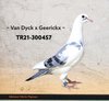 TR21-300457 YAVRU457 Video