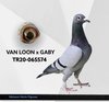 TR20-065574 mtn574 Video