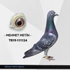 TR19-111124 METİN 124 Video