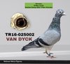 TR16-025002 002 Video