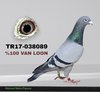 TR17-038089 089 Video