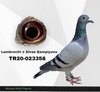 TR20-023358 358 Video