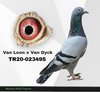 TR20-023495 495 Video
