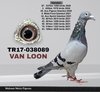 TR17-038089 089 Video