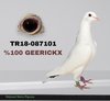 TR18-087101 7101 Video