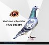 TR20-023489 MTN489 Video